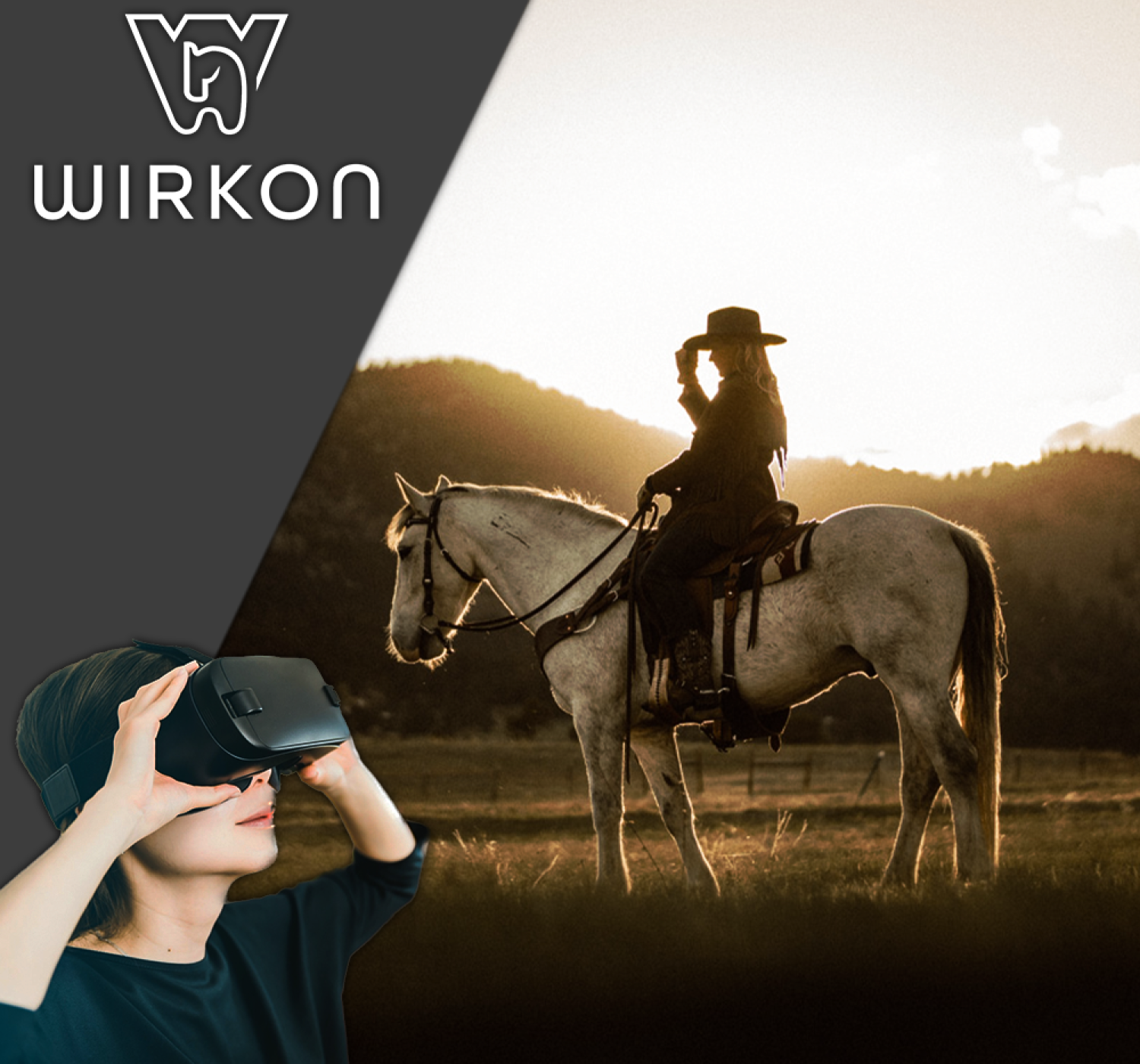 VR +Koń